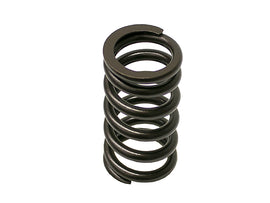Valve Spring
