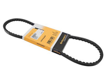Load image into Gallery viewer, Belt 10 X 825 - AM42 EuroCars