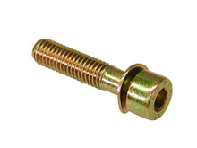 Load image into Gallery viewer, Camshaft Housing Bolt