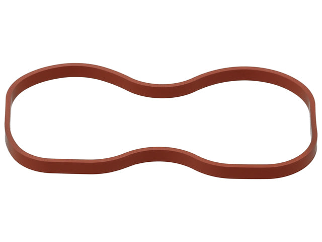 Throttle Housing Seal