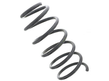 Load image into Gallery viewer, Coil Spring