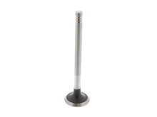 Load image into Gallery viewer, Exhaust Valve