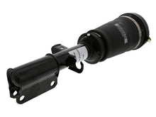 Load image into Gallery viewer, Strut