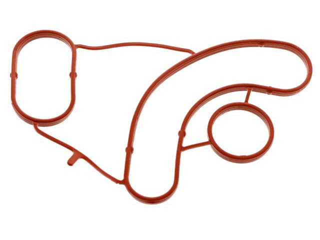 Engine Oil Cooler Gasket