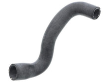 Load image into Gallery viewer, Engine Oil Cooler Hose - AM42 EuroCars