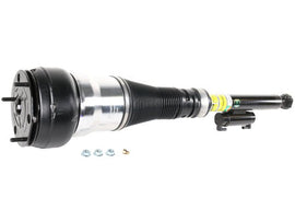 Air Suspension Strut - AM42 EuroCars