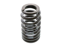 Load image into Gallery viewer, Valve Spring