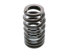 Valve Spring