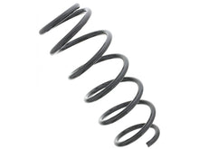 Load image into Gallery viewer, Coil Spring