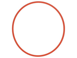 Throttle Housing Seal