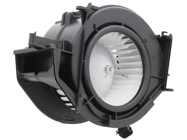 Blower Motor