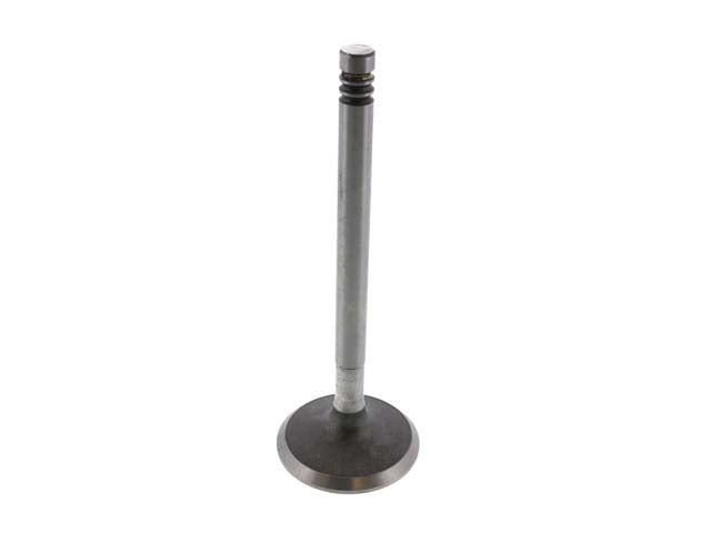 Intake Valve